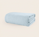 color:Aster Light Blue|position:1