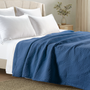 color:Aster Folkstone Blue|position:2