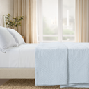 color:Aster Light Blue|position:2