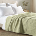 color:Aster Sage Green|position:2