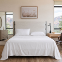 color:Hotel White Solid