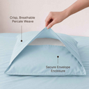 color:Light Blue Solid|position:3