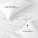 color:Bright White Solid|position:3