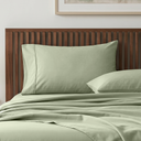 color:Sage Green Solid|position:2