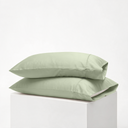 color:Sage Green Solid|position:1