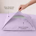 color:Lilac Solid|position:3