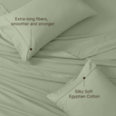 color:Sage Green Solid|position:3