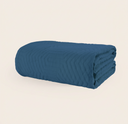 color:Aster Folkstone Blue|position:1