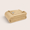 color:Beige Muslin