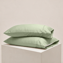 color:Sage Green|position:1
