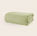 color:Aster Sage Green|position:1