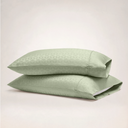 color:Sage Green Cadence|position:1