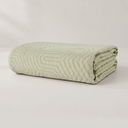 color:Aster Sage Green|position:1