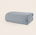 color:Aster Scottish Grey|position:1